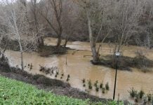 El paseo del parque fluvial del río Henares, completamente anegado el 11 de febrero de 2021.