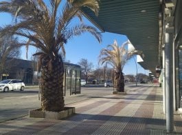 Calle Francisco Aritio, en Guadalajara, en marzo de 2021. (Foto: La Crónic@)