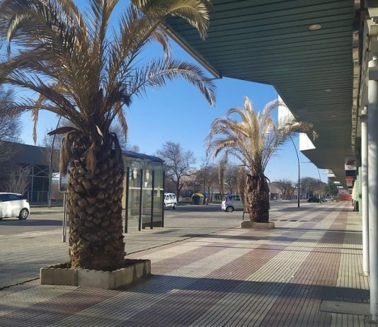 Calle Francisco Aritio, en Guadalajara, en marzo de 2021. (Foto: La Crónic@)