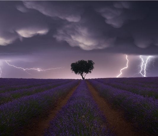 Tormenta sobre los campos de lavanda de Brihuega. Fotografía de Juan López Ruiz.