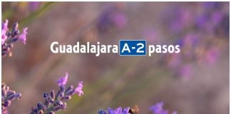 Guadalajara, A-2 pasos de Madrid y más ahora ahora, tras el fin del cierre perimetral.