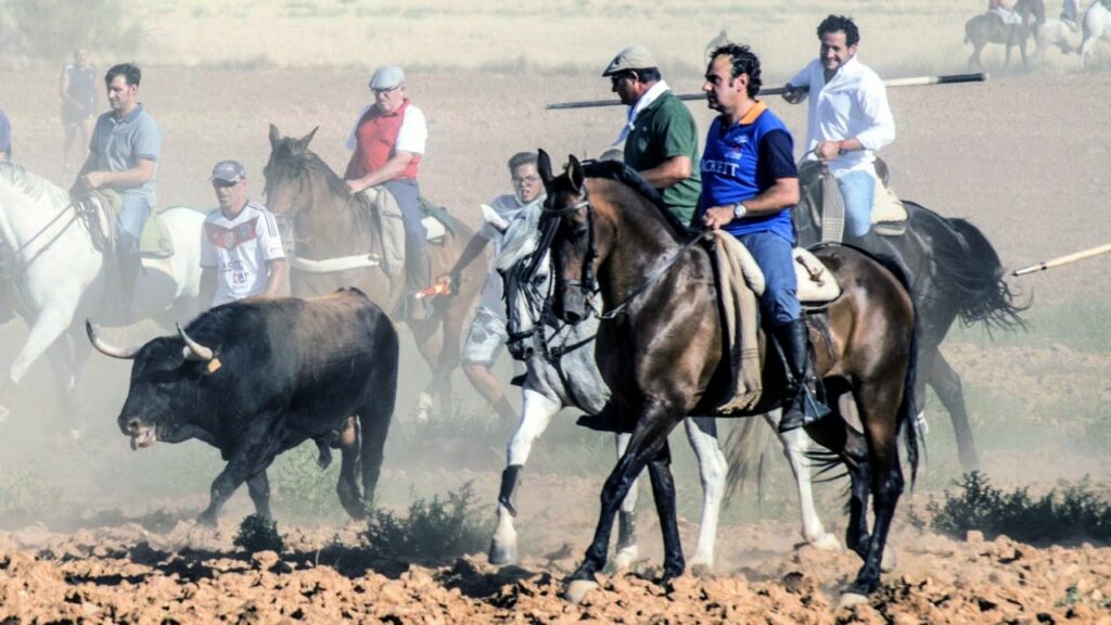 Encierros en Guadalajara por el campo en Marchamalo, en 2016.