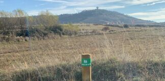 Rutas senderistas en Alcolea del Pinar.