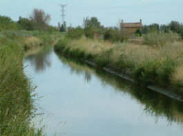 Canal del Henares a la altura de Cabanillas. (Foto: La Crónic@)