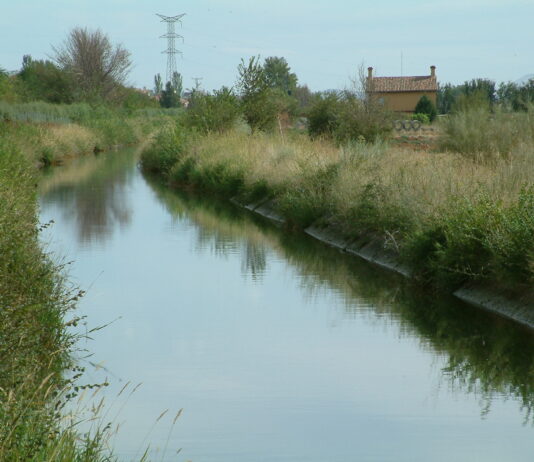 Canal del Henares a la altura de Cabanillas. (Foto: La Crónic@)