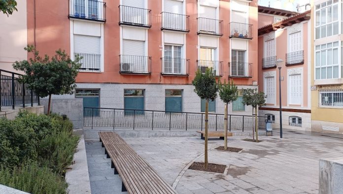 Árboles plantados en enero de 2023 en la Plaza del Concejo. (Foto: La Crónic@)