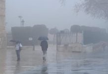 Lunes de lluvia y niebla en Guadalajara. (Foto: La Crónic@)