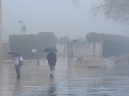 Lunes de lluvia y niebla en Guadalajara. (Foto: La Crónic@)