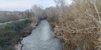 El cadáver ha sido encontrado aguas abajo de este punto, en el río Henares a su paso por Guadalajara. (Foto: La Crónic@)