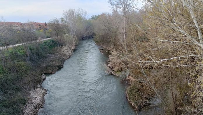 El cadáver ha sido encontrado aguas abajo de este punto, en el río Henares a su paso por Guadalajara. (Foto: La Crónic@)