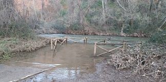 El río Henares, en marzo de 2024, a su paso por Guadalajara. (Foto: La Crónic@)