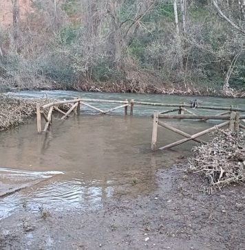 El río Henares, en marzo de 2024, a su paso por Guadalajara. (Foto: La Crónic@)