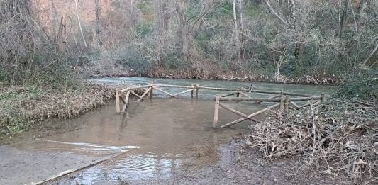 El río Henares, en marzo de 2024, a su paso por Guadalajara. (Foto: La Crónic@)