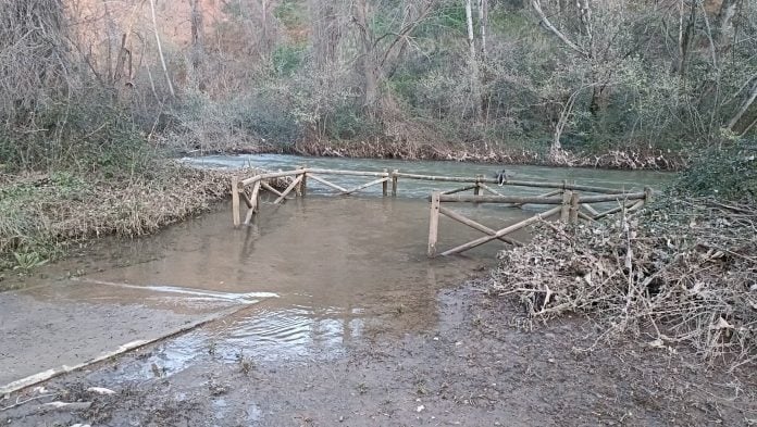 El río Henares, en marzo de 2024, a su paso por Guadalajara. (Foto: La Crónic@)