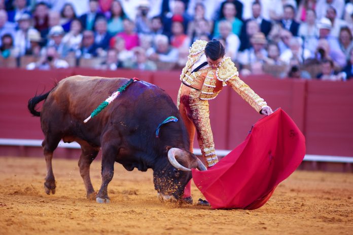 El diestro Juan Ortega durante su gran tarde en la Maestranza el 15 de abril de 2024, donde le cortó dos orejas a uno de sus toros. (Foto: Joaquin Corchero / Europa Press)