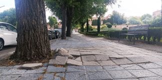 Estado actual de la acera de la Avenida del Ejército a escasos metros del Palacio del Infantado, levantada por un árbol desde hace muchos años. (Foto: La Crónic@)