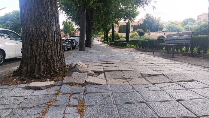 Estado actual de la acera de la Avenida del Ejército a escasos metros del Palacio del Infantado, levantada por un árbol desde hace muchos años. (Foto: La Crónic@)