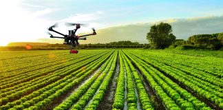 Hasta con drones se puede mejorar el rendimiento de los cultivos, dentro de la conocida como "agricultura de precisión".