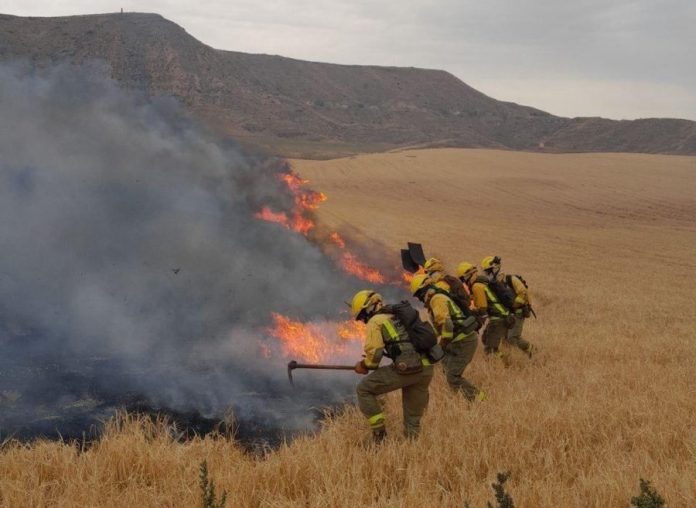 Trabajos para atajar el incendio declarado el 26 de junio de 2024 cerca de Alcalá de Henares.