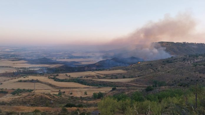 El incendio de Taracena, en las primeras horas del 31 de julio de 2024. (Foto: Ayto. de Guadalajara)