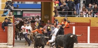 Cuarto encierro de toros en Guadalajara en 2019. (Foto: Ayto. Guadalajara)