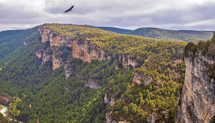 Imagen que ilustra la portada de la web del Parque Natural del Alto Tajo.