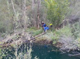 Limpieza del Tajo en Poveda. (Foto: CHT