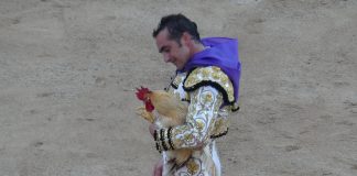 El Fandi pasea feliz con gallo, pañuelo y dos orejas ganados con un derroche de pundonor en el coso de Las Cruces. (Foto: La Crónic@)