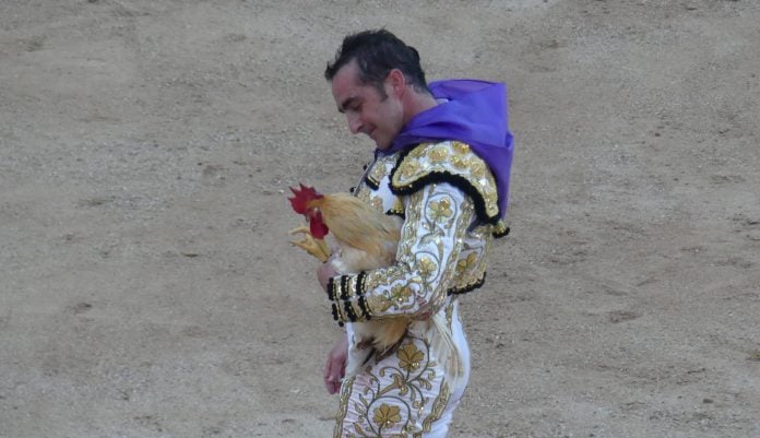 El Fandi pasea feliz con gallo, pañuelo y dos orejas ganados con un derroche de pundonor en el coso de Las Cruces. (Foto: La Crónic@)