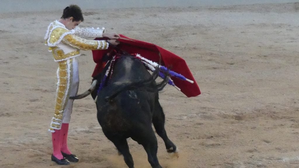 El pitón en la taleguilla de Víctor Hernández,, en su segundo toro del sábado de Ferias en Guadalajara el 14 de setiembre de 2024. (Foto: La Crónic@)