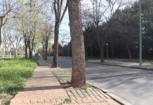 Calle Lope de Vega, en Cabanillas del Campo, en octubre de 2024.