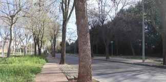 Calle Lope de Vega, en Cabanillas del Campo, en octubre de 2024.