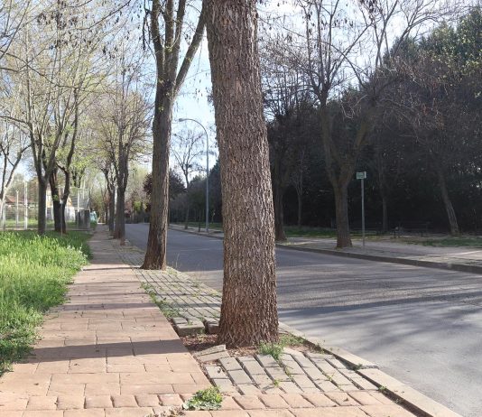 Calle Lope de Vega, en Cabanillas del Campo, en octubre de 2024.