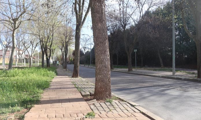 Calle Lope de Vega, en Cabanillas del Campo, en octubre de 2024.