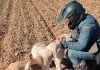 Agente del Seprona con dos perros. (Foto: Guardia Civil)