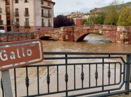 El río Gallo a su paso por Molina de Aragón el 30 de octubre de 2024. (Foto: La Crónic@)