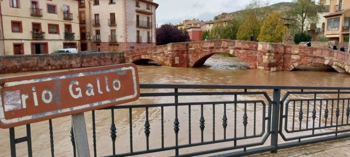 El río Gallo a su paso por Molina de Aragón el 30 de octubre de 2024. (Foto: La Crónic@)