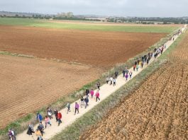 Marcha nórdica en Cabanillas, el 9 de noviembre de 2024. (Foto. Ayto. de Cabanillas)