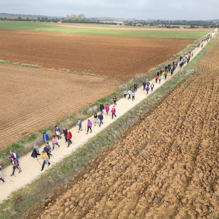 Marcha nórdica en Cabanillas, el 9 de noviembre de 2024. (Foto. Ayto. de Cabanillas)