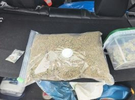 Marihuana intervenida en Uceda por la Guardia Civil.