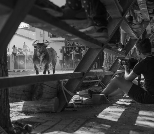 Fotografía ganadora en 2024 en el certamen convocado por ToroAlcarria.