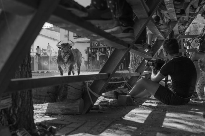 Fotografía ganadora en 2024 en el certamen convocado por ToroAlcarria.