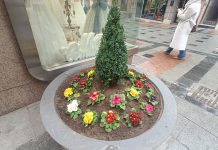 Jardinera con flores el 18 de diciembre de 2024. (Foto: La Crónic@)