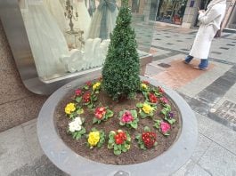 Jardinera con flores el 18 de diciembre de 2024. (Foto: La Crónic@)