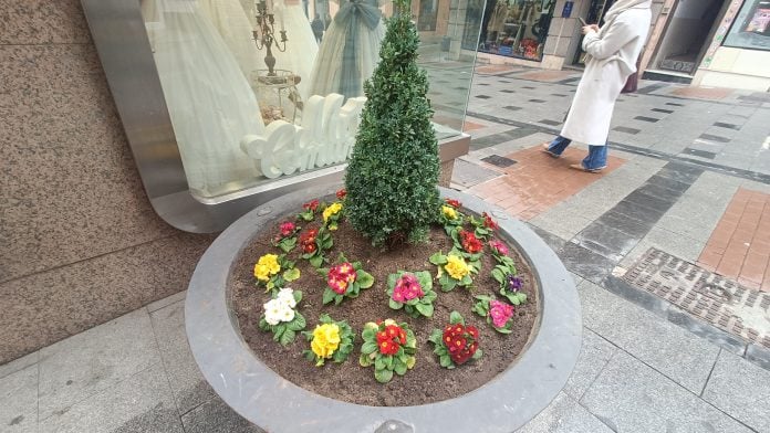 Jardinera con flores el 18 de diciembre de 2024. (Foto: La Crónic@)