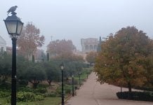 Al fondo, el Palacio del Infantado en una mañana de niebla de Guadalajara en diciembre de 2024. (Foto: La Crónic@)