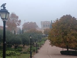 Al fondo, el Palacio del Infantado en una mañana de niebla de Guadalajara en diciembre de 2024. (Foto: La Crónic@)