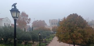 Al fondo, el Palacio del Infantado en una mañana de niebla de Guadalajara en diciembre de 2024. (Foto: La Crónic@)