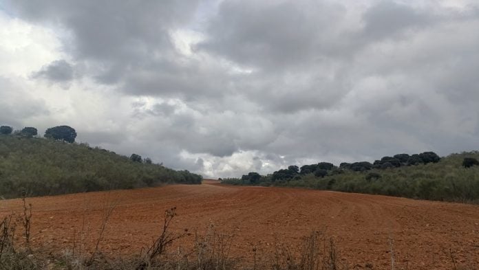 A pesar de lo que sugiere la fotografía, captada en la provincia de Guadalajara en noviembre de 2024, este mes ha sido más cálido y seco que la media. (Foto: La Crónic@)