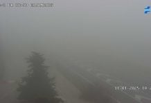 Niebla espesa en la A-2 a la altura de Gajanejos en la mañana del sábado, 11 de enero de 2025. (Foto: DGT)